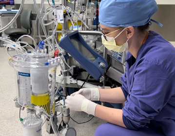 perfusion jobs